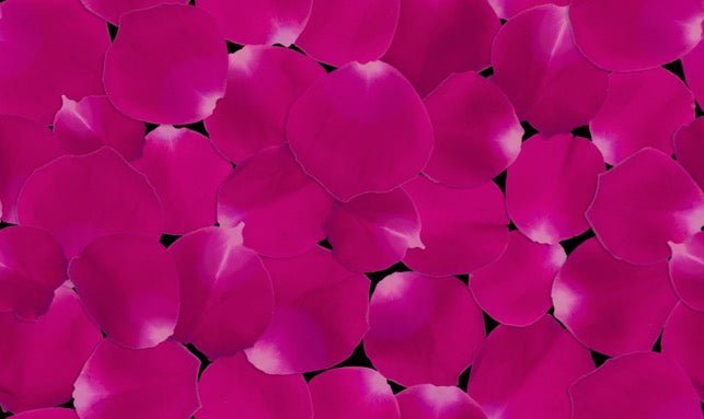 Breaking the Silence on Menarche - Venus Matters