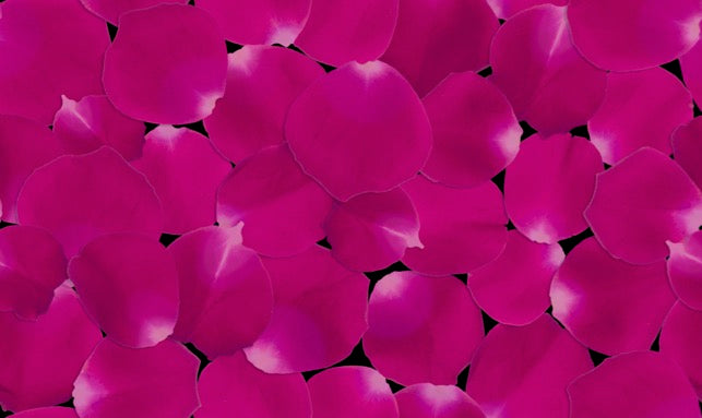 Breaking the Silence on Menarche: Why We Must Talk About First Periods