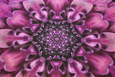 Intricate purple crystaline shapes at the center of the Amethyst Venus Mat--sex mat , menstrual blanket for women.